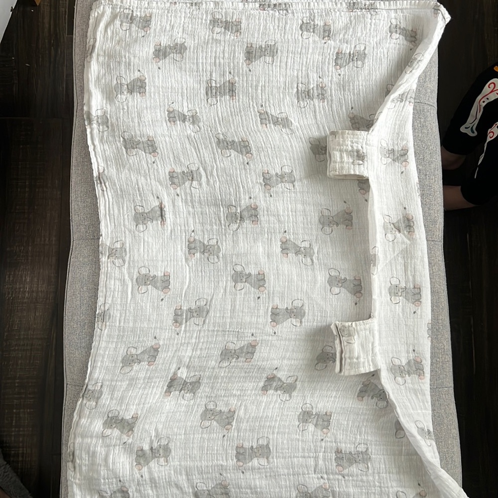 Aden + Anias Car seat Cover